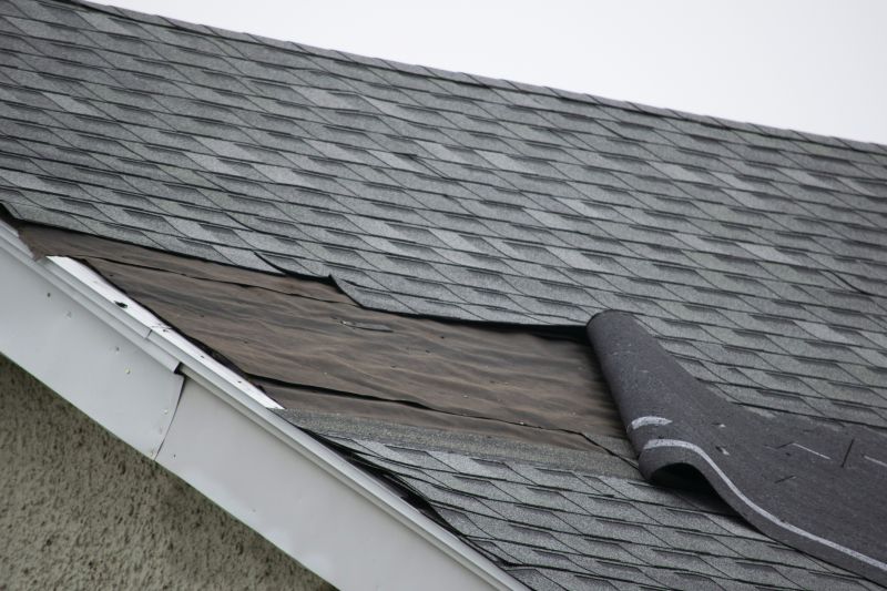 Professional Roof Repair